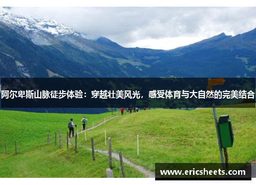 阿尔卑斯山脉徒步体验：穿越壮美风光，感受体育与大自然的完美结合